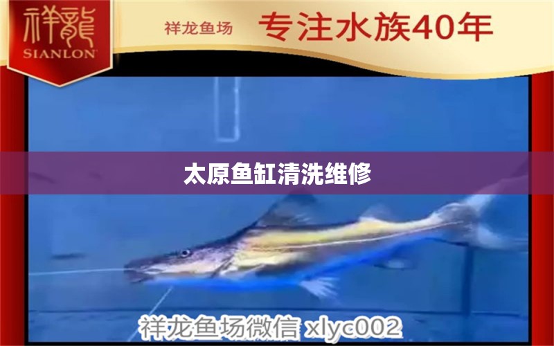 太原魚缸清洗維修 其他品牌魚缸