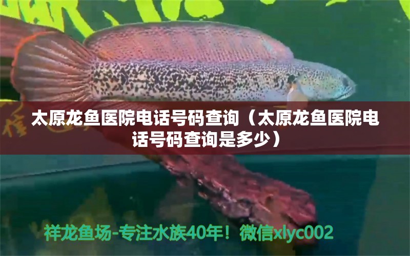 太原龍魚醫(yī)院電話號碼查詢（太原龍魚醫(yī)院電話號碼查詢是多少）