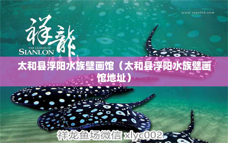 太和縣浮陽水族壁畫館（太和縣浮陽水族壁畫館地址） 全國水族館企業(yè)名錄