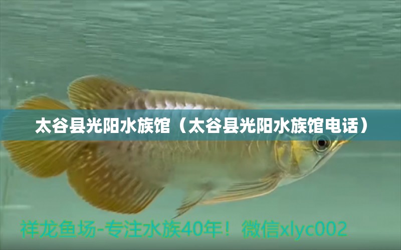 太谷縣光陽(yáng)水族館（太谷縣光陽(yáng)水族館電話） 全國(guó)水族館企業(yè)名錄