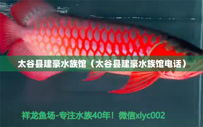 太谷縣建豪水族館（太谷縣建豪水族館電話(huà)） 全國(guó)水族館企業(yè)名錄