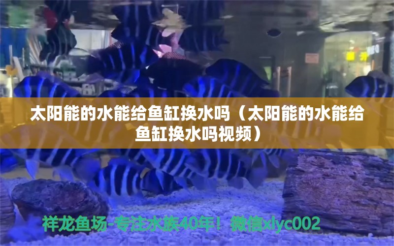 太陽能的水能給魚缸換水嗎（太陽能的水能給魚缸換水嗎視頻）