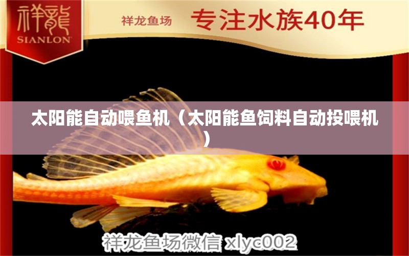 太陽能自動喂魚機（太陽能魚飼料自動投喂機）