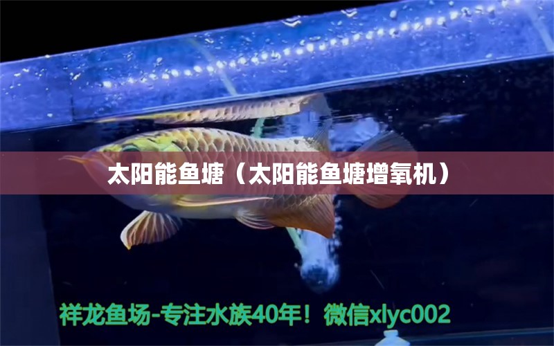 太陽能魚塘（太陽能魚塘增氧機）