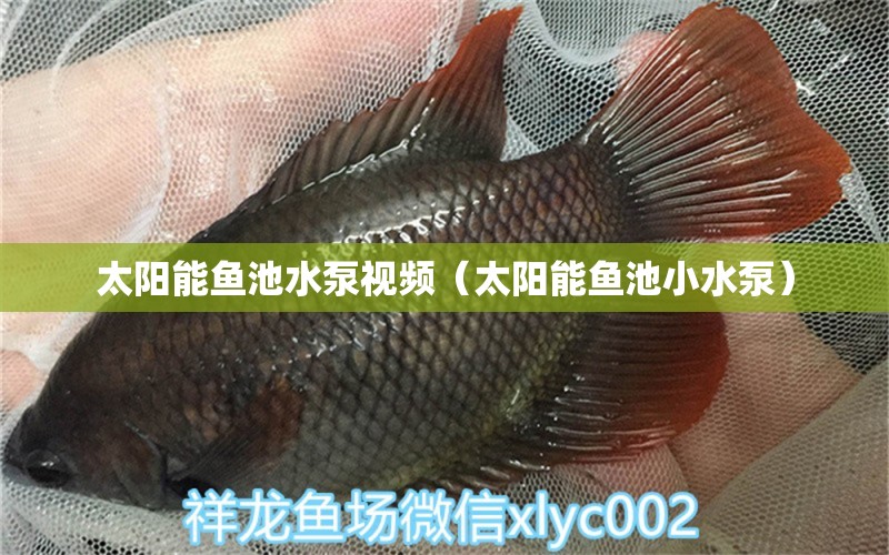 太陽能魚池水泵視頻（太陽能魚池小水泵） 森森魚缸