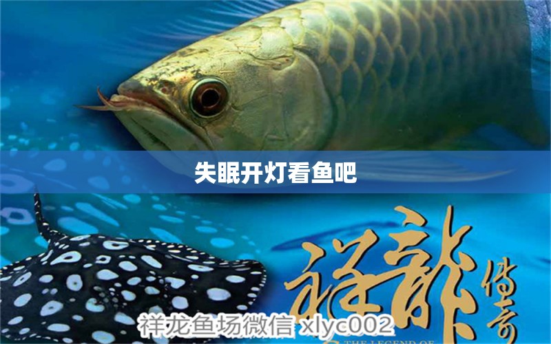 失眠開燈看魚吧 白子黃化銀龍魚