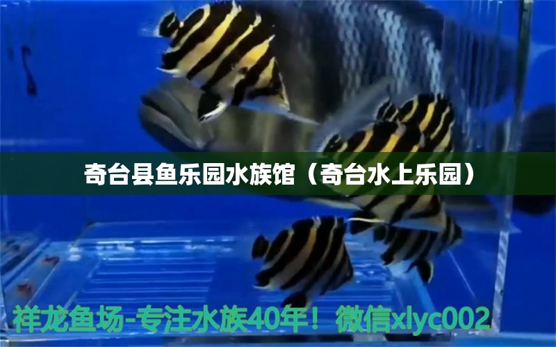 奇臺縣魚樂園水族館（奇臺水上樂園）