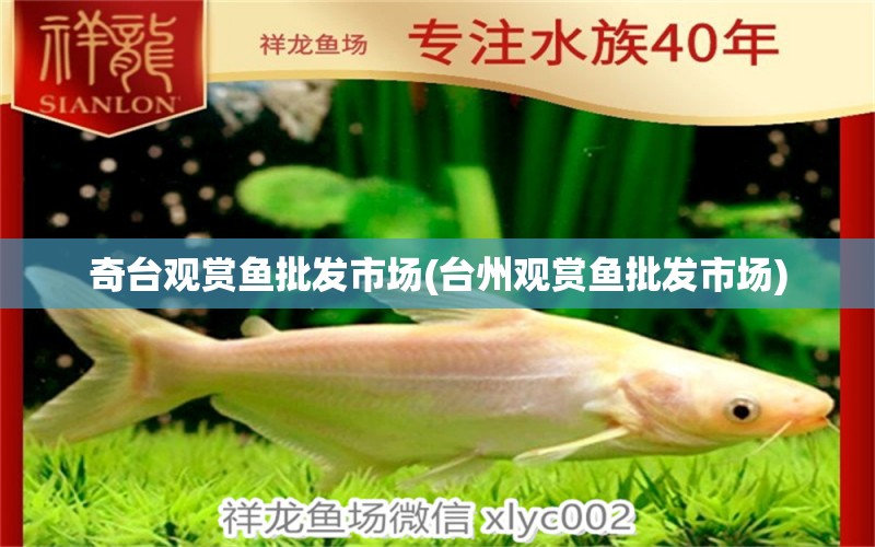 奇臺(tái)觀賞魚(yú)批發(fā)市場(chǎng)(臺(tái)州觀賞魚(yú)批發(fā)市場(chǎng)) 觀賞魚(yú)批發(fā) 第1張