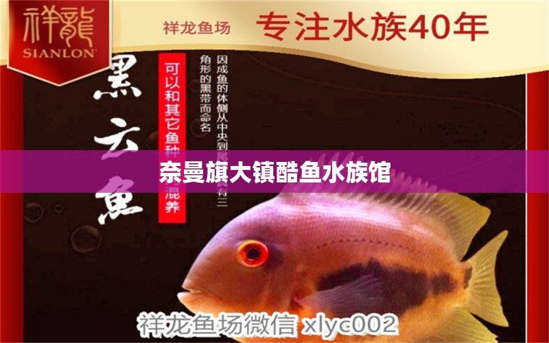 奈曼旗大鎮(zhèn)酷魚水族館