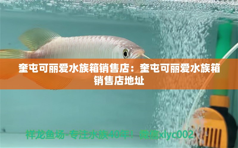 奎屯可麗愛水族箱銷售店：奎屯可麗愛水族箱銷售店地址 魚缸/水族箱