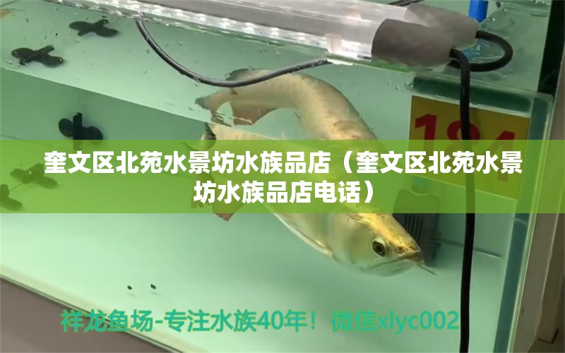 奎文區(qū)北苑水景坊水族品店（奎文區(qū)北苑水景坊水族品店電話）