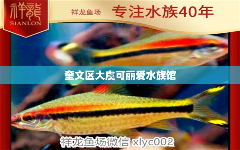 奎文區(qū)大虞可麗愛水族館 全國水族館企業(yè)名錄