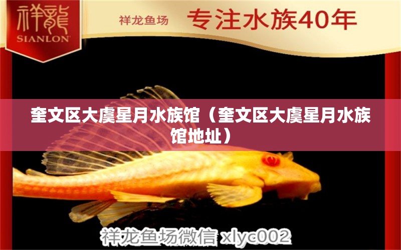 奎文區(qū)大虞星月水族館（奎文區(qū)大虞星月水族館地址）