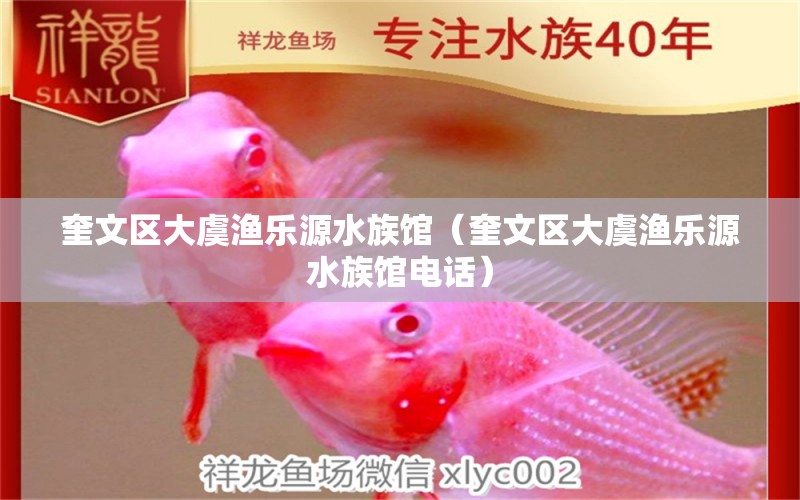 奎文區(qū)大虞漁樂源水族館（奎文區(qū)大虞漁樂源水族館電話）