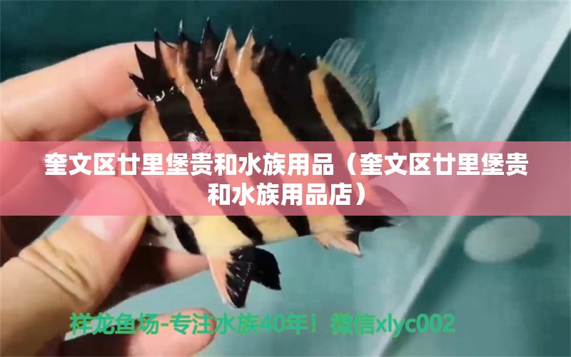 奎文區(qū)廿里堡貴和水族用品（奎文區(qū)廿里堡貴和水族用品店） 水族用品