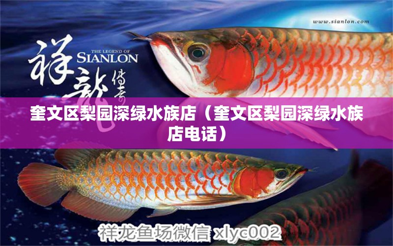 奎文區(qū)梨園深綠水族店（奎文區(qū)梨園深綠水族店電話）