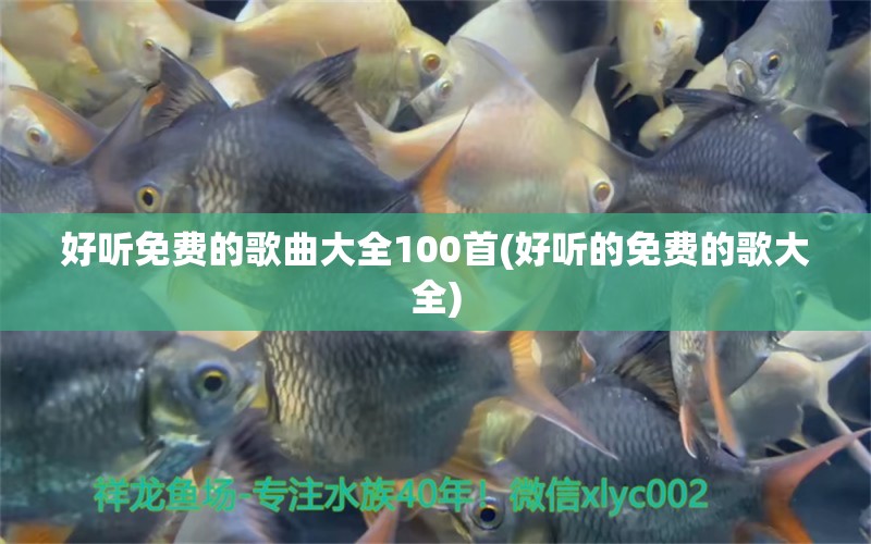 好聽免費的歌曲大全100首(好聽的免費的歌大全) 觀賞魚批發(fā)