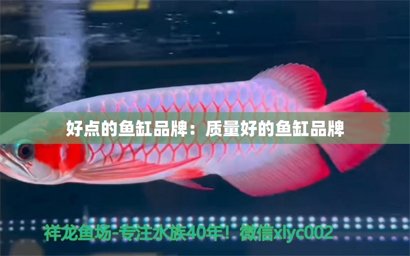 好點的魚缸品牌：質(zhì)量好的魚缸品牌