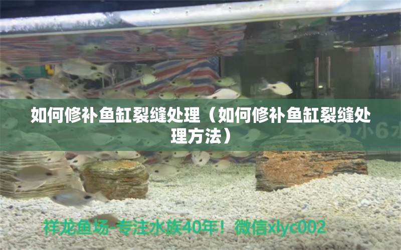 如何修補(bǔ)魚缸裂縫處理（如何修補(bǔ)魚缸裂縫處理方法）