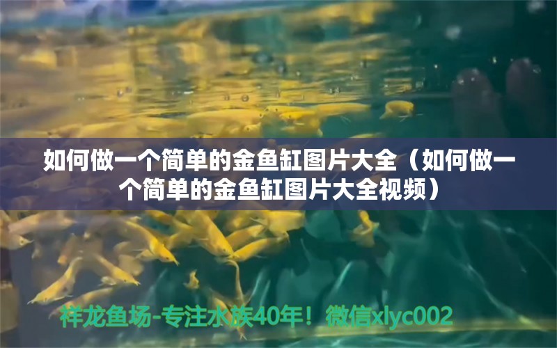 如何做一個簡單的金魚缸圖片大全（如何做一個簡單的金魚缸圖片大全視頻）