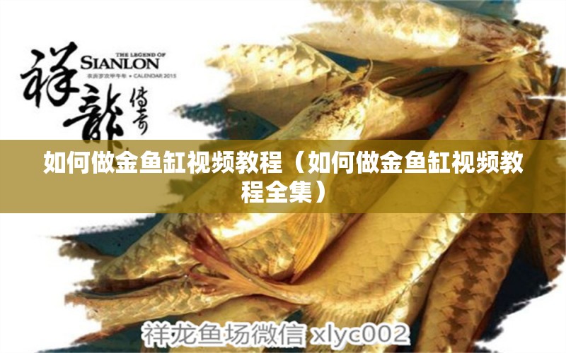 如何做金魚缸視頻教程（如何做金魚缸視頻教程全集） 吉印水族