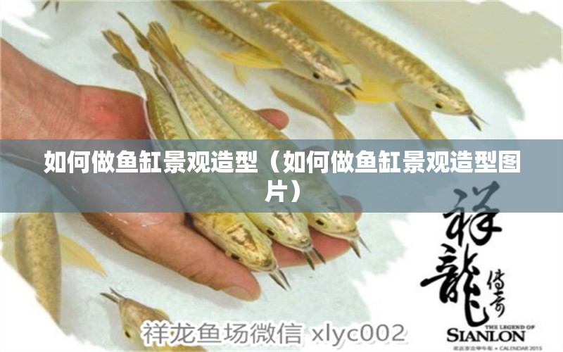 如何做魚缸景觀造型（如何做魚缸景觀造型圖片）