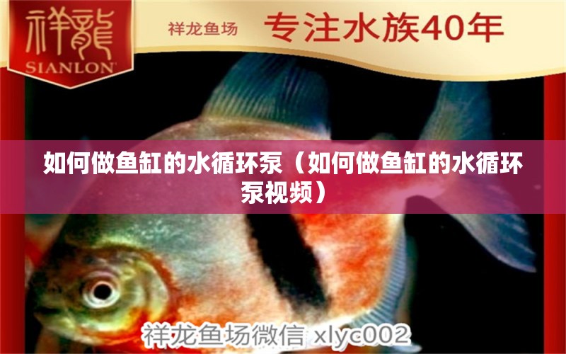 如何做魚缸的水循環(huán)泵（如何做魚缸的水循環(huán)泵視頻）