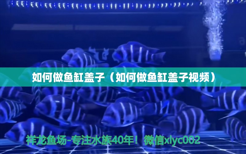 如何做魚缸蓋子（如何做魚缸蓋子視頻） 祥龍水族醫(yī)院