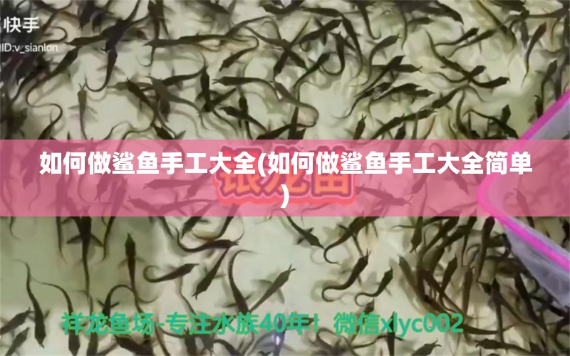 如何做鯊魚(yú)手工大全(如何做鯊魚(yú)手工大全簡(jiǎn)單) 過(guò)背金龍魚(yú)