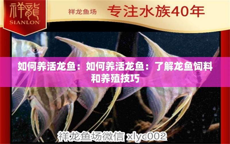 如何養(yǎng)活龍魚：如何養(yǎng)活龍魚：了解龍魚飼料和養(yǎng)殖技巧 白子紅龍魚