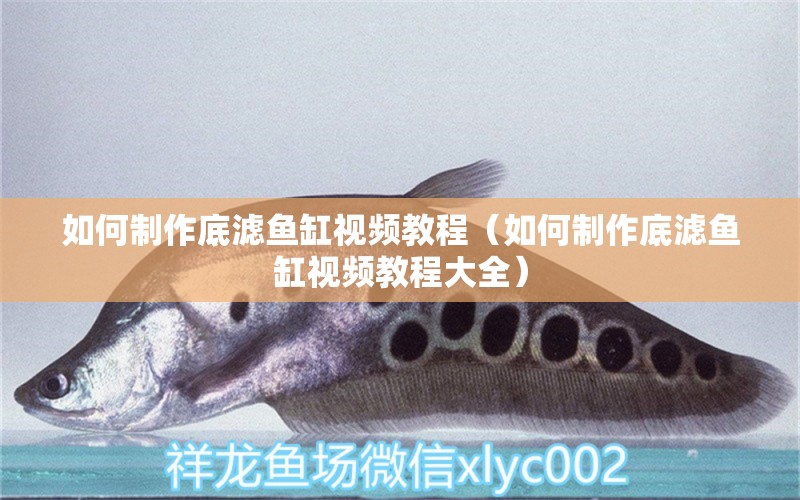 如何制作底濾魚缸視頻教程（如何制作底濾魚缸視頻教程大全） 黑水素