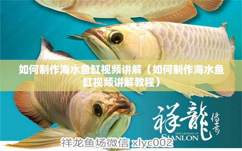 如何制作海水魚缸視頻講解（如何制作海水魚缸視頻講解教程）