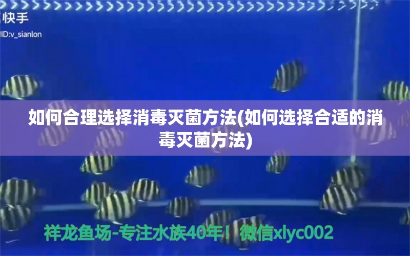 如何合理選擇消毒滅菌方法(如何選擇合適的消毒滅菌方法) 黃金達摩魚