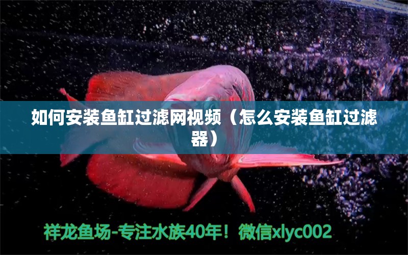 如何安裝魚缸過濾網(wǎng)視頻（怎么安裝魚缸過濾器） 廣州觀賞魚批發(fā)市場(chǎng)