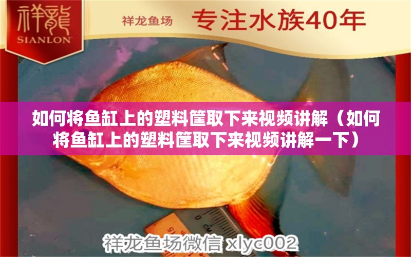 如何將魚缸上的塑料筐取下來視頻講解（如何將魚缸上的塑料筐取下來視頻講解一下）