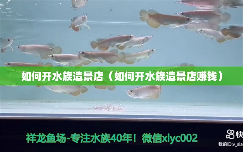 如何開水族造景店（如何開水族造景店賺錢）