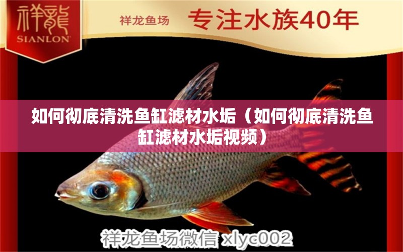 如何徹底清洗魚缸濾材水垢（如何徹底清洗魚缸濾材水垢視頻） 祥龍水族醫(yī)院