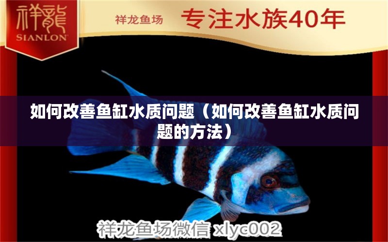 如何改善魚(yú)缸水質(zhì)問(wèn)題（如何改善魚(yú)缸水質(zhì)問(wèn)題的方法）