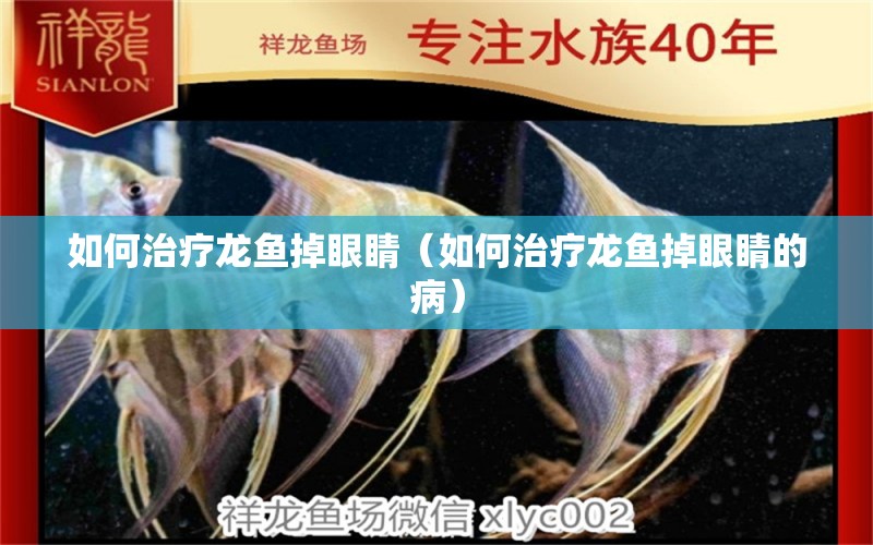 如何治療龍魚掉眼睛（如何治療龍魚掉眼睛的?。?廣州龍魚批發(fā)市場