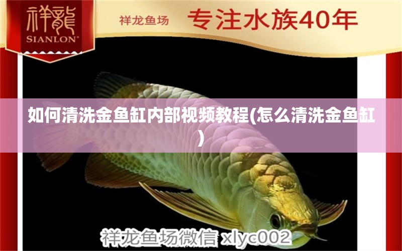 如何清洗金魚缸內部視頻教程(怎么清洗金魚缸) 觀賞魚市場