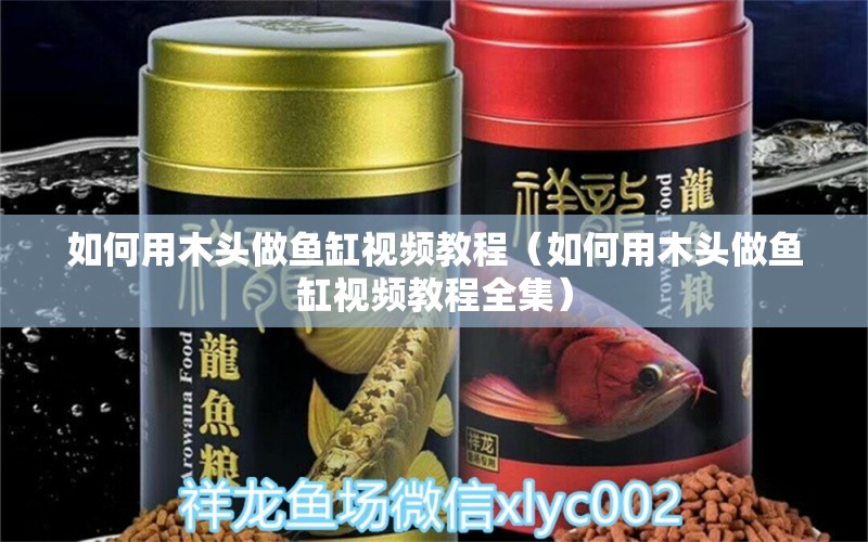 如何用木頭做魚(yú)缸視頻教程（如何用木頭做魚(yú)缸視頻教程全集） 其他品牌魚(yú)缸