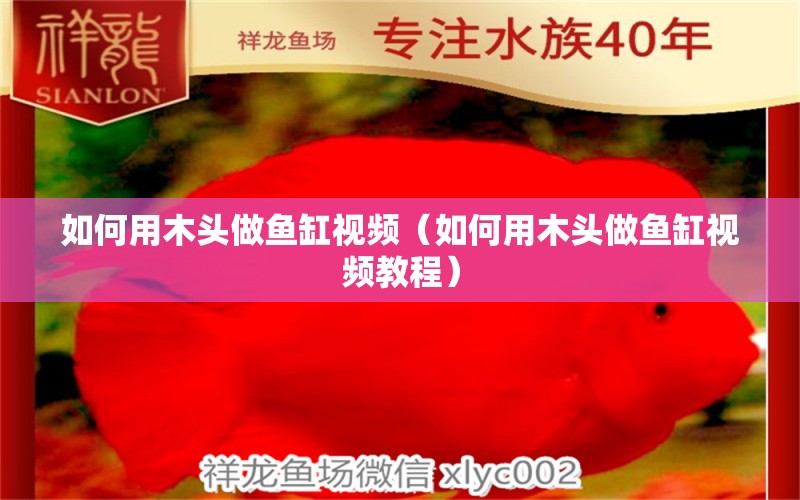 如何用木頭做魚缸視頻（如何用木頭做魚缸視頻教程） 其他品牌魚缸