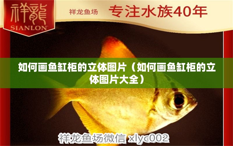 如何畫魚缸柜的立體圖片（如何畫魚缸柜的立體圖片大全）