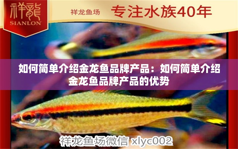 如何簡單介紹金龍魚品牌產(chǎn)品：如何簡單介紹金龍魚品牌產(chǎn)品的優(yōu)勢 廣州龍魚批發(fā)市場