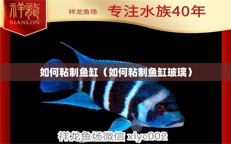 如何粘制魚(yú)缸（如何粘制魚(yú)缸玻璃）