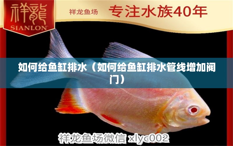 如何給魚缸排水（如何給魚缸排水管線增加閥門）