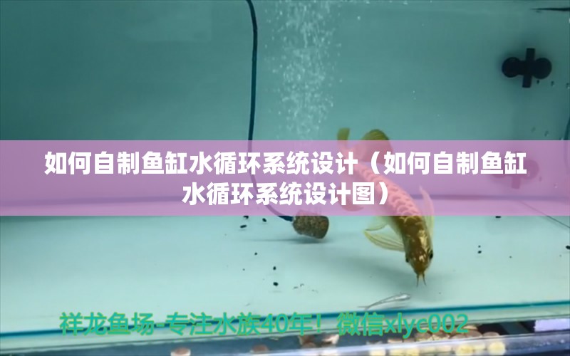 如何自制魚(yú)缸水循環(huán)系統(tǒng)設(shè)計(jì)（如何自制魚(yú)缸水循環(huán)系統(tǒng)設(shè)計(jì)圖） 其他品牌魚(yú)缸