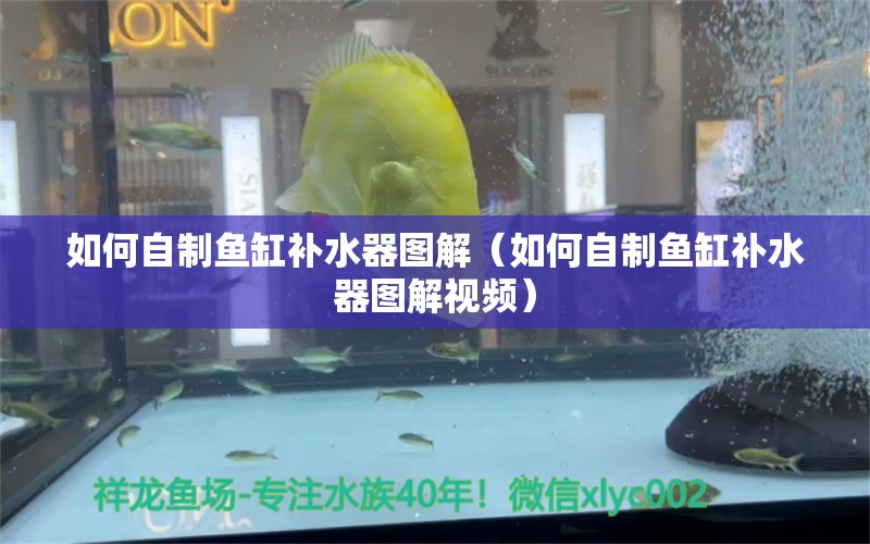 如何自制魚缸補(bǔ)水器圖解（如何自制魚缸補(bǔ)水器圖解視頻）