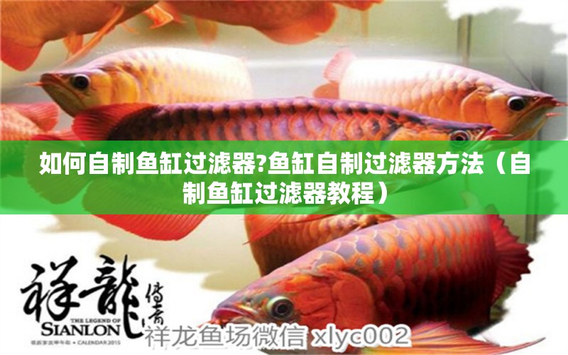 如何自制魚(yú)缸過(guò)濾器?魚(yú)缸自制過(guò)濾器方法（自制魚(yú)缸過(guò)濾器教程） 賽級(jí)紅龍魚(yú)