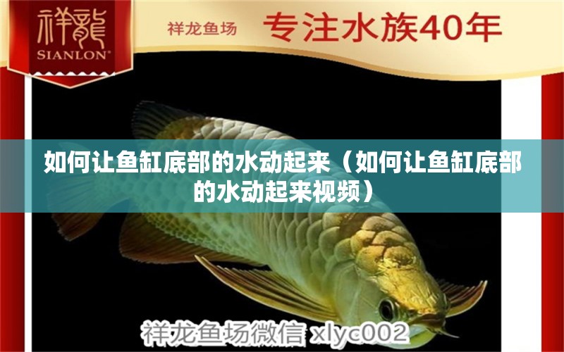 如何讓魚缸底部的水動起來（如何讓魚缸底部的水動起來視頻）